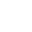 Lizing uyushmasi